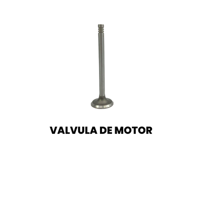 VALVULA DE MOTOR Cargo 1722/Constellation 17.280 2008-2012 - Imagem 2