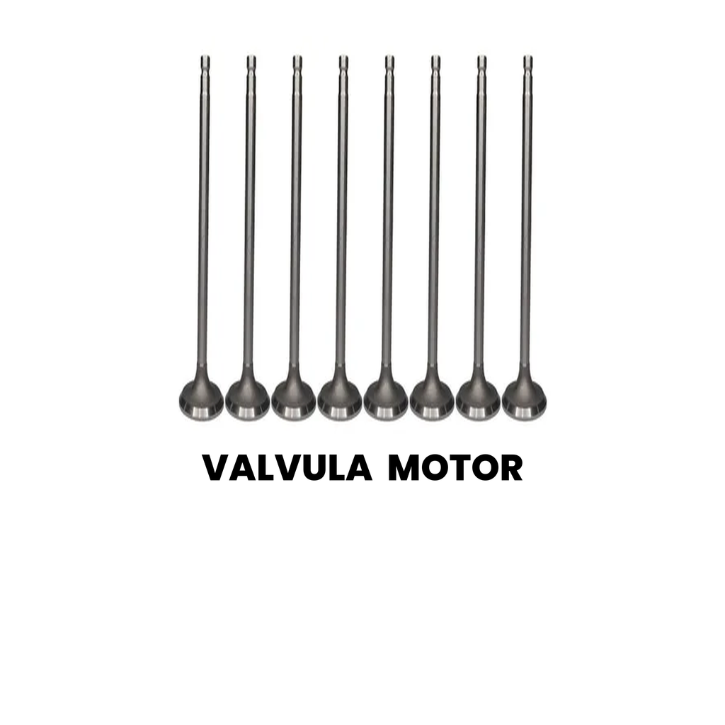 VÁLVULA MOTOR Cargo 2000-2011 - Imagem 2