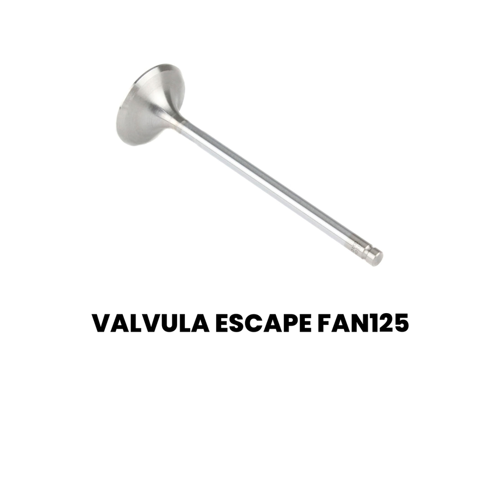 Válvula de Escape FAN 125 - NXR - Imagem 2
