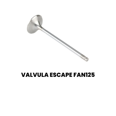 Válvula de Escape FAN 125 - NXR - Imagem 2