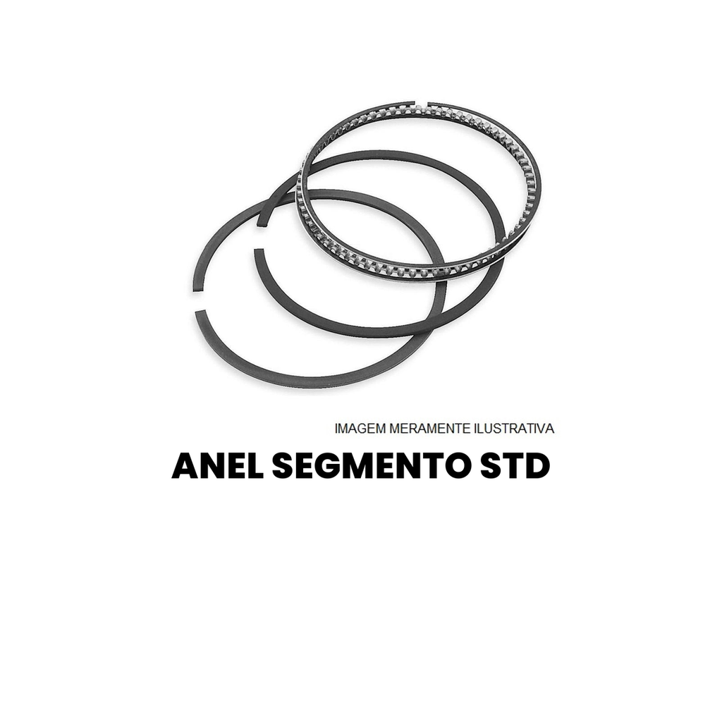 Anel Segmento Standard - Kombi Kombi - Imagem 2