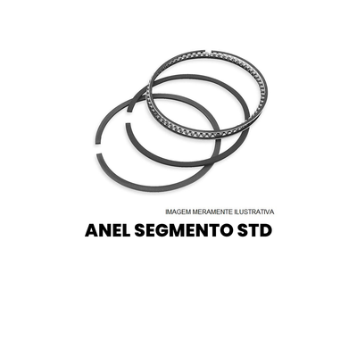 Anel Segmento Standard - Kombi Kombi - Imagem 2