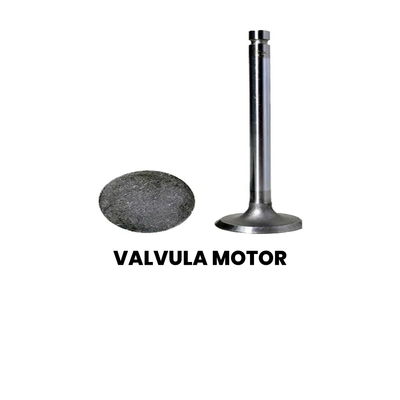 VALVULA MOTOR Cargo 2000-2009 - Imagem 2