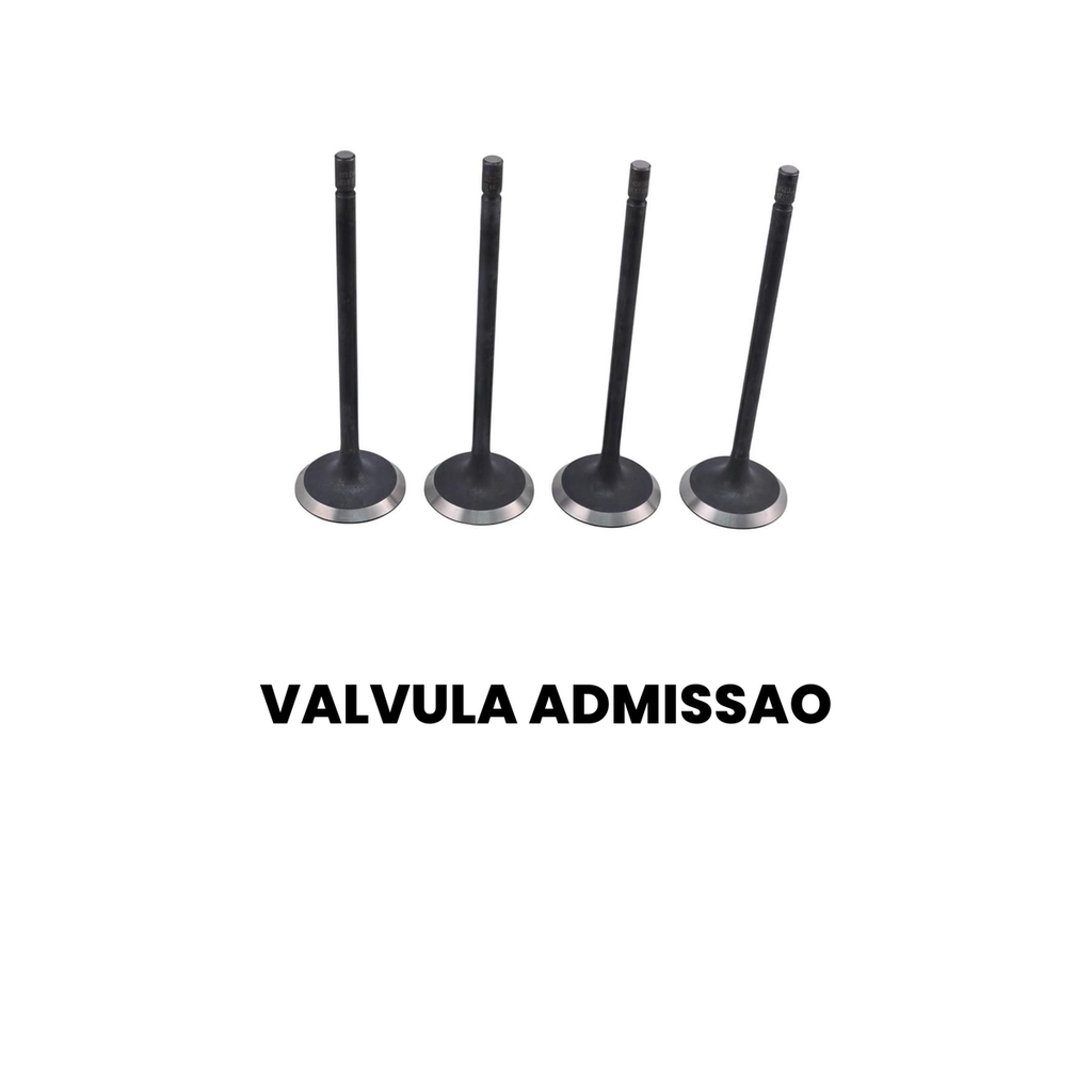 Válvula de Admissão MAHLE Megane Fluence - Imagem 2