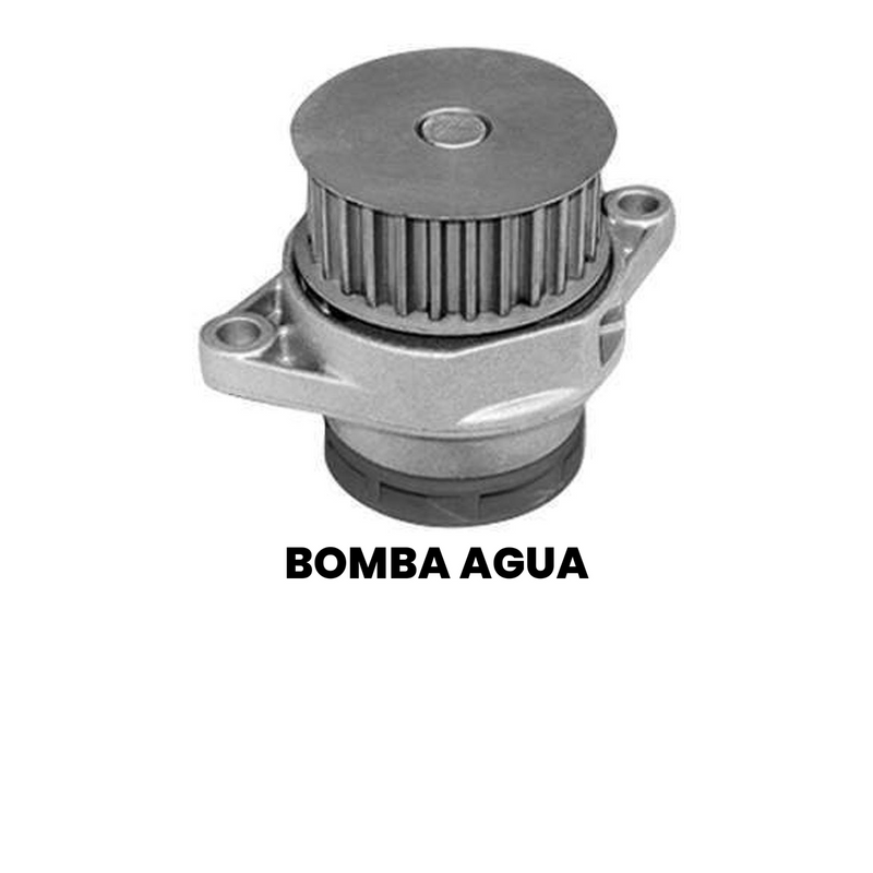 Bomba D'Água SKF Fiat Palio 2000-2012 Punto 2002-2006 Doblò - Imagem 2