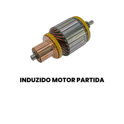 Induzido Motor Partida Cargo/Constellation 2000-2009 - Imagem 2